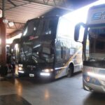 p8 – El 1° de diciembre se reactiva el transporte interurbano